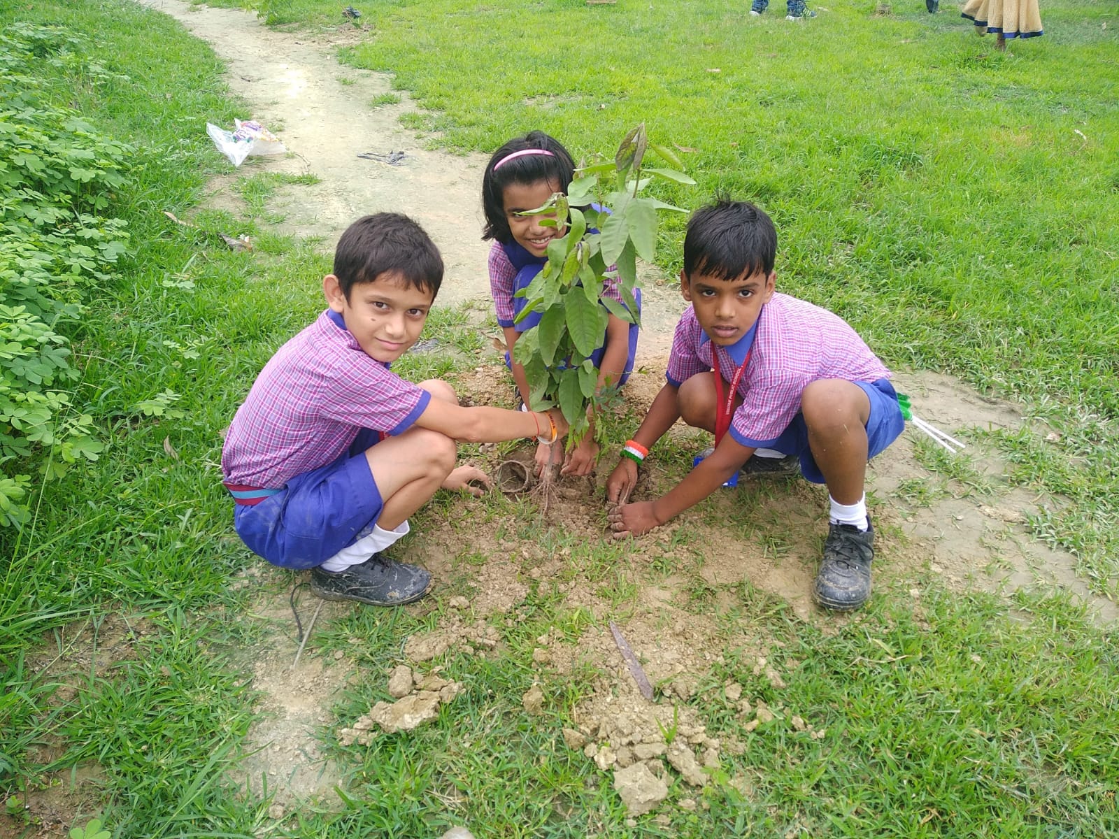 School Image